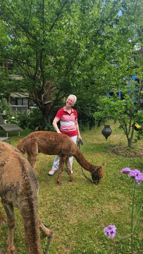 Ein Alpaka im Garten des Hospizes mit Conny Humm